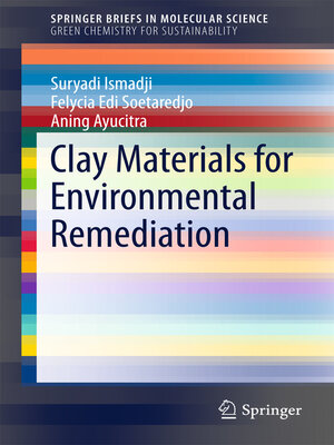 cover image of Clay Materials for Environmental Remediation